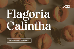 Flagoria Calintha Serif Font Family, a Serif Font by UICreative