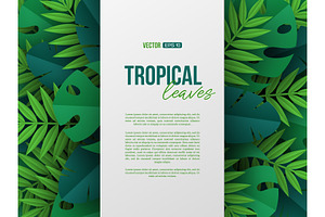 Set Of Designs With Tropical Leaves.