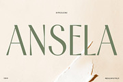 Ansela – Elegant Sans, a Sans Serif Font by Craft Supply Co. (Thumbnail 1 of 8)