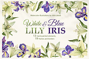 White Lily and Blue Iris set, a Decorative Illustration by L- design studio (Thumbnail 1 of 9)