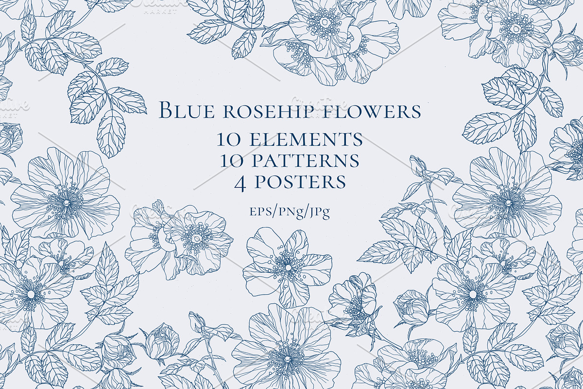 Blue rosehip flowers, a Decorative Illustration by LanaDzi (Photo 1 of 12)