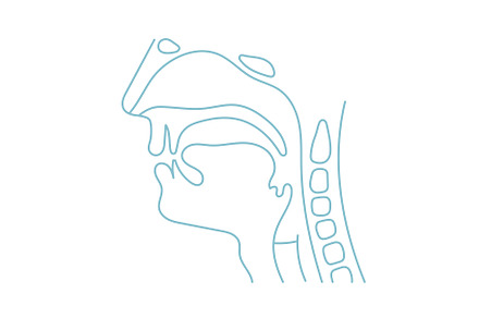 Human Throat Anatomy Line Icon