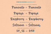 Lemonado, a Script Font by Mika Melvas (Thumbnail 8 of 9)