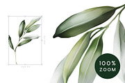 Green leaves | Botanical set, a Decorative Illustration by Karma (Thumbnail 17 of 18)