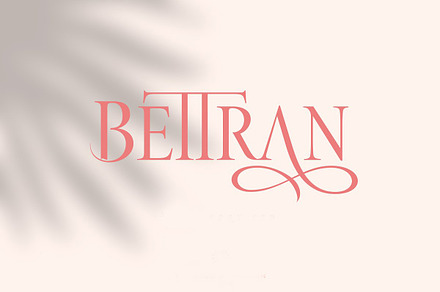 BETTRAN, a Serif Font by INKSUN™