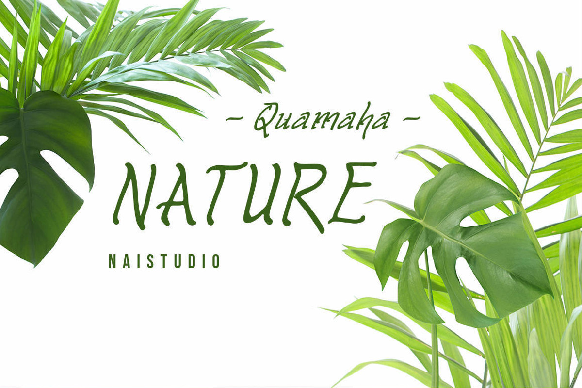 Quamaha - Elegant Handwritten Font, a Script Font by Naistudio (Photo 5 of 7)