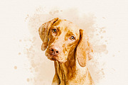 Pet Watercolor Effect Photoshop, an Action Add-On by liptouse (Thumbnail 10 of 10)