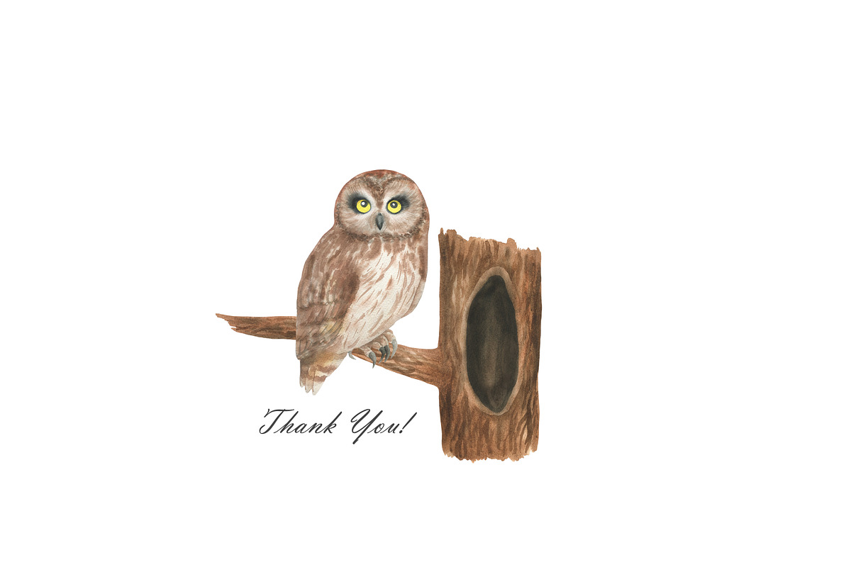 Watercolor Owls, an Animal Illustration by OlDm_Shop (Photo 5 of 5)