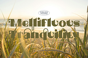 Luminescent Elegance Font, a Sans Serif Font by Erifqizefont (Thumbnail 4 of 21)