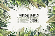 TROPICAL LEAVES & ELEMENTS, a Decorative Illustration by Watercolor by Tonia Tkach (Thumbnail 1 of 6)