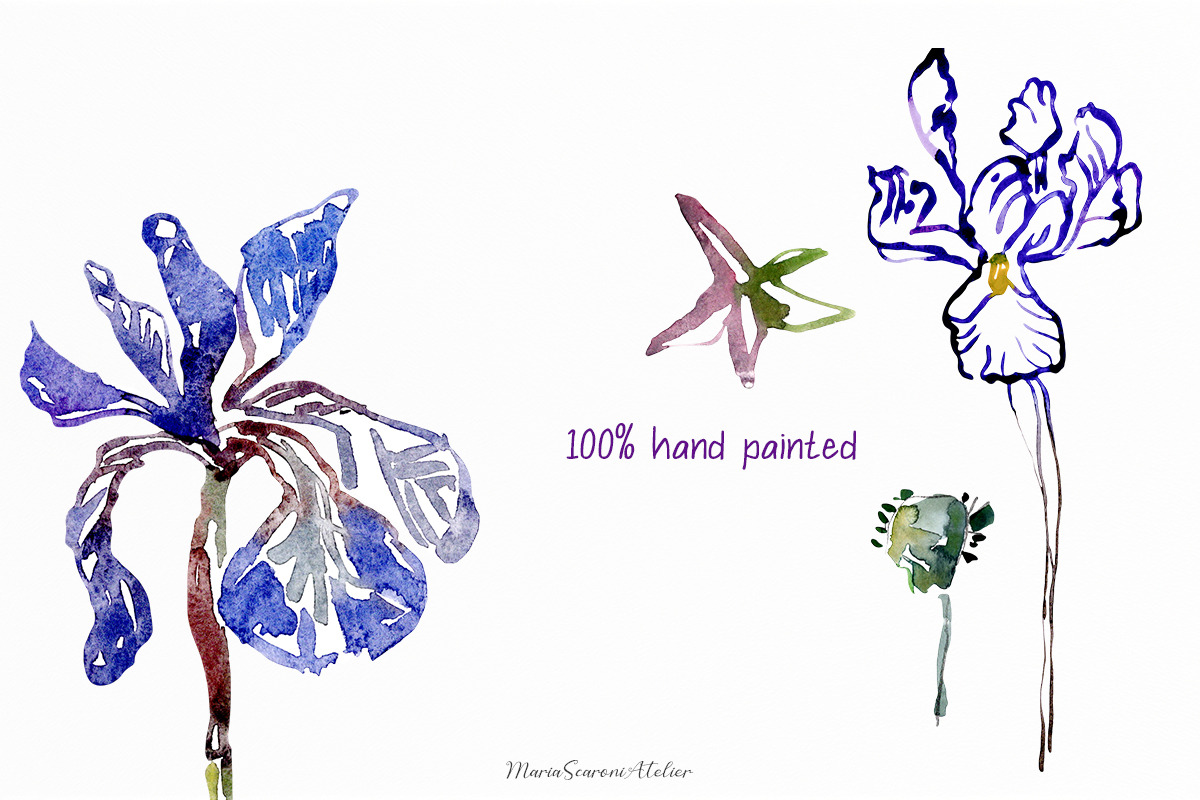 Watercolor Iris Flowers Clipart, a Decorative Illustration by MariaScaroniAtelier (Photo 3 of 6)