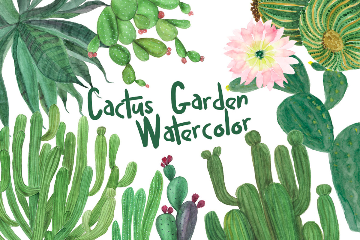 Watercolor cactus garden, an Illustration by ramika (Photo 1 of 4)