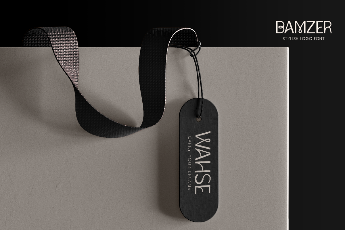 Bamzer Stylish Logo Font, a Sans Serif Font by Typebae (Photo 6 of 9)