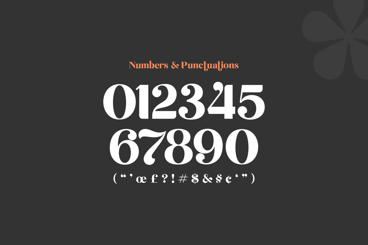Emirates - Beautiful Curved Font, a Serif Font by Sensatype (Photo 23 of 25)