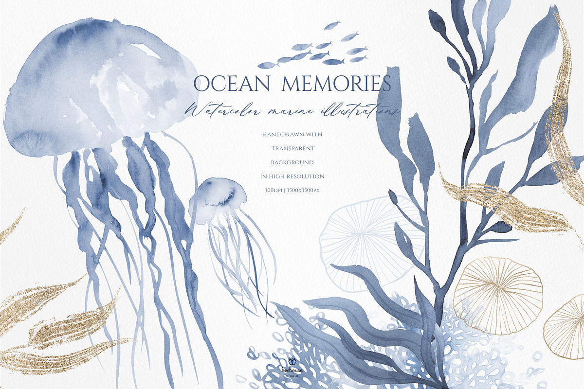 Ocean Memories Underwater Collection, an Animal Illustration by beehouse studio (Photo 3 of 12)