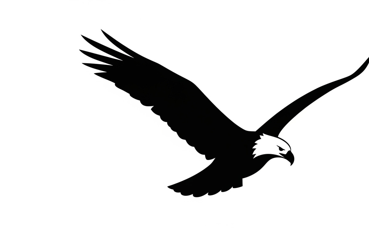 Powerful eagle flying wall art, an Illustration by Amazin_art (Photo 11 of 26)