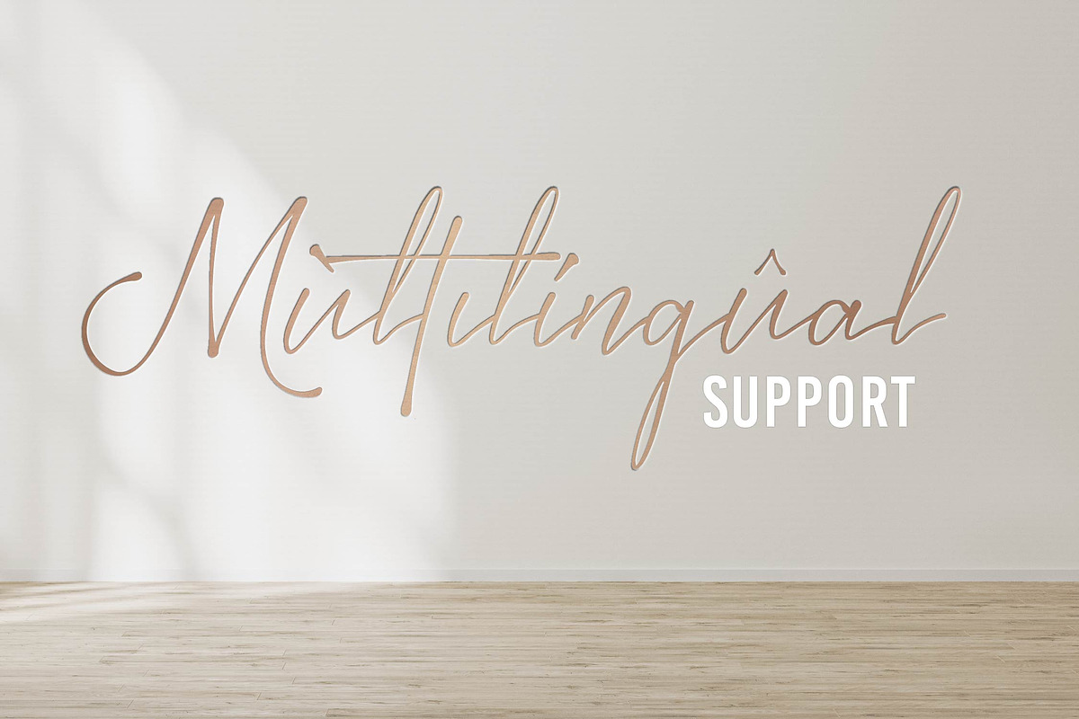 Bestia | Signature Font, a Script Font by Denustudios (Photo 13 of 14)