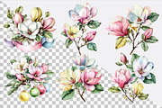 Watercolor Magnolia Flower Clipart, a Healthcare Illustration by SVGArt (Thumbnail 2 of 4)