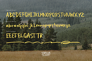 Serella van Houten | Hand Drawn Font, a Handwritten Font by Denustudios (Thumbnail 15 of 15)