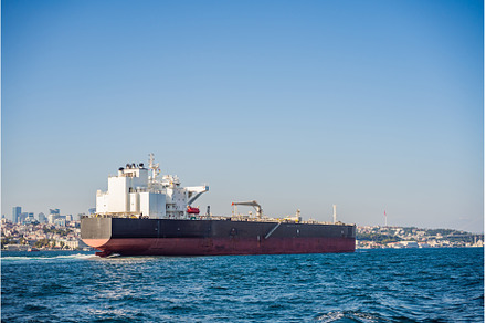 Container cargo ship in the, a Transportation Photo by Elizaveta Galitskaya