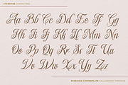 Svarajka, a Script Font by ilhamtaro (Thumbnail 7 of 10)