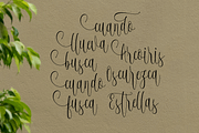 Ageless (Black Friday Sale), a Script Font by Deniz86 (Thumbnail 9 of 9)