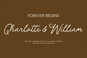 Palm Haven Elegant Handwritten, a Handwritten Font by AmorfaType (Thumbnail 5 of 8)