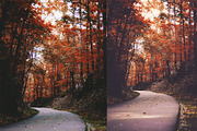 25 Nature Photoshop Actions, an Action Add-On by Bato (Thumbnail 3 of 9)
