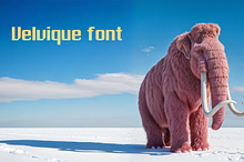Velvique font-Regular-087-25