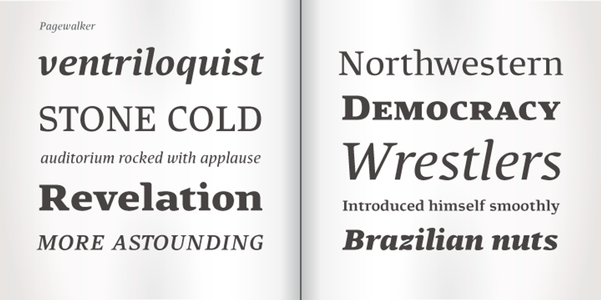 Pagewalker, a Serif Font by Kostic Type Foundry (Photo 9 of 10)