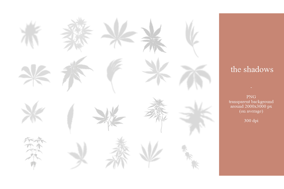 Hemp/Marijuana Shadows & MockUp, a Mockup by Jeanina Vlad (Photo 3 of 17)
