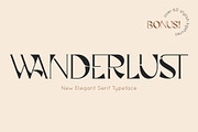 Wanderlust Serif Font, a Serif Font by Anna Zakharchenko (Thumbnail 1 of 15)