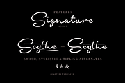 Signature Script Intro Sale, a Script Font by Fenotype (Thumbnail 8 of 12)