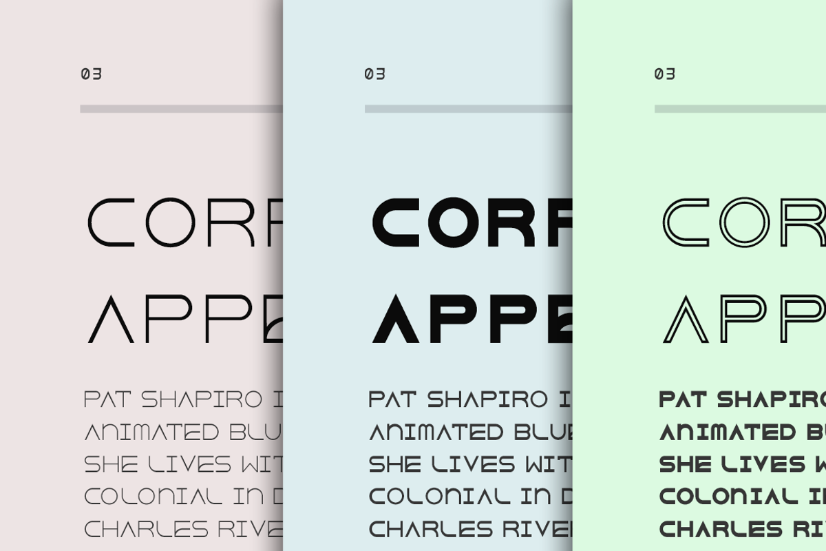 DejavuTF Font - 75%off preview 2