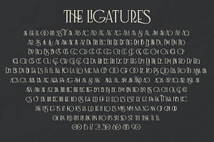 Nagara Typeface Roman & Script