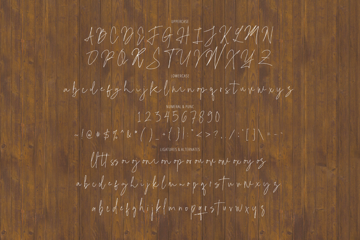 Bisklend - Pencil Signature, a Handwritten Font by executypeStudio (Photo 9 of 10)