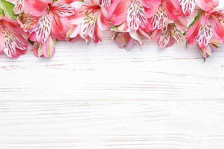 Beautiful Alstroemeria flowers on wooden background, a Nature Photo by Olena Rudo