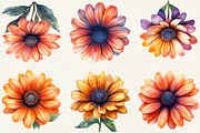African Daisy Flower Bloom Clipart, an Illustration by OK Design (Thumbnail 3 of 5)