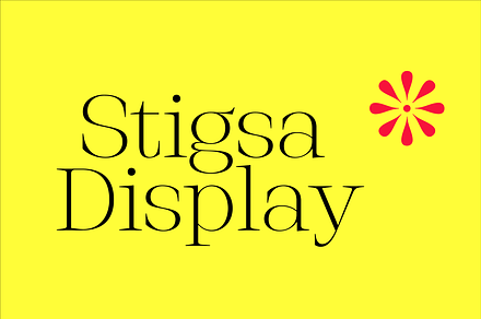 Stigsa Display Font Family, a Serif Font by Seniors