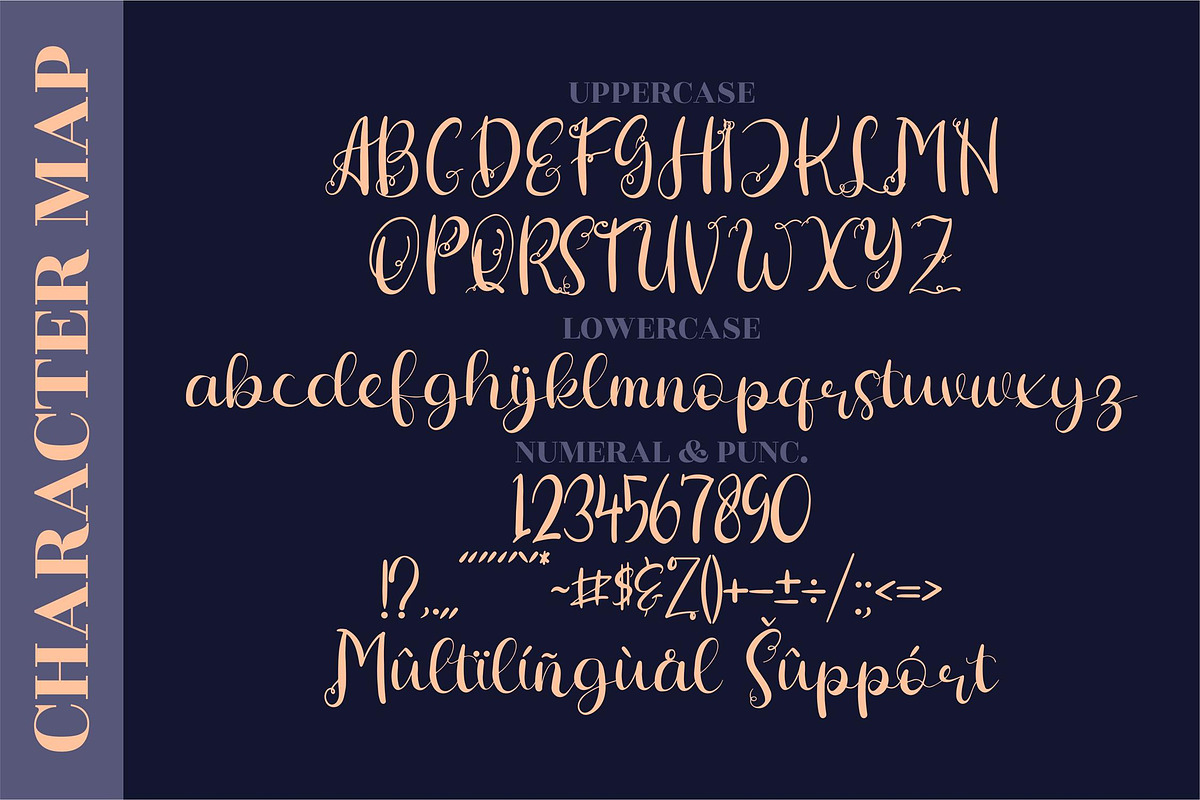 Hiratheria Script LS, a Script Font by GranzCreative (Photo 3 of 14)