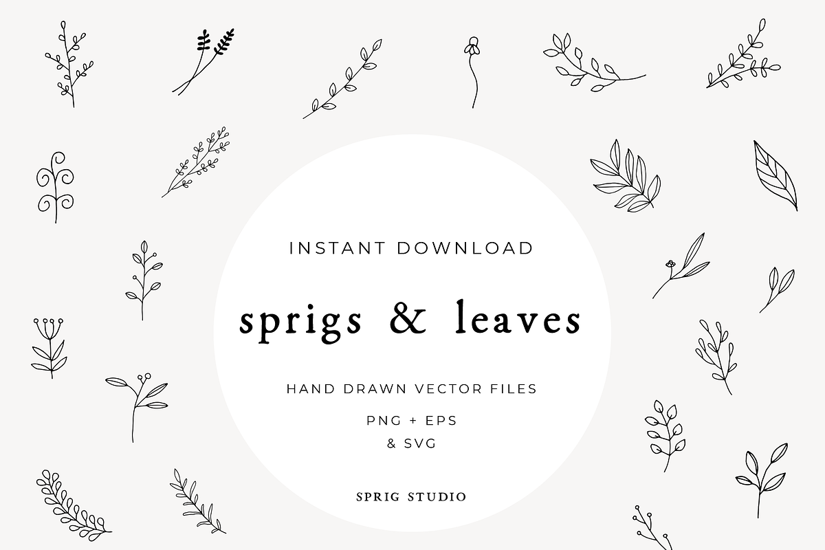 Hand Drawn Leaves & Sprigs Elements, an Illustration by Sprig Studio