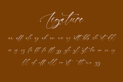 Daniella Megan - Modern Signature, a Handwritten Font by CreateBigSupply (Thumbnail 8 of 9)