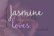 Jasmine Reminiscentse, a Script Font by Brittney Murphy Design (Thumbnail 2 of 3)