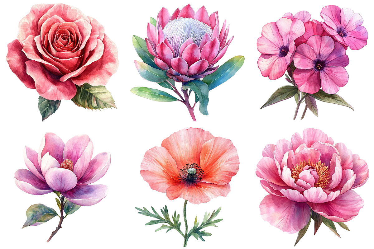 Watercolor Pink Flowers Clipart, an Illustration by Craft Nest (Photo 6 of 7)