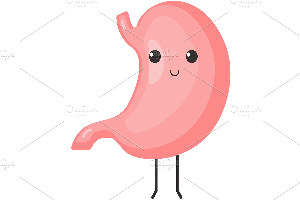Happy healthy stomach vector cute, a Healthcare Illustration by SiberianArt