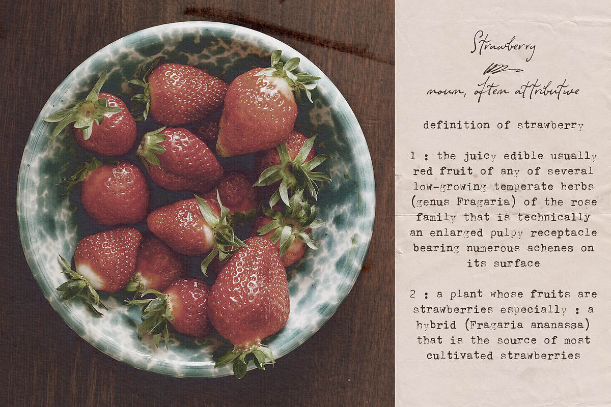 Typewriter and Script font pack, a Font by Ana's Fonts (Photo 2 of 19)