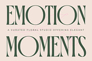 Orleans Brightens Modern Serif, a Serif Font by timelesstype.co (Thumbnail 3 of 15)
