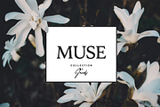 Ashford Serif Font, a Serif Font by gafaroff studio (Thumbnail 6 of 7)