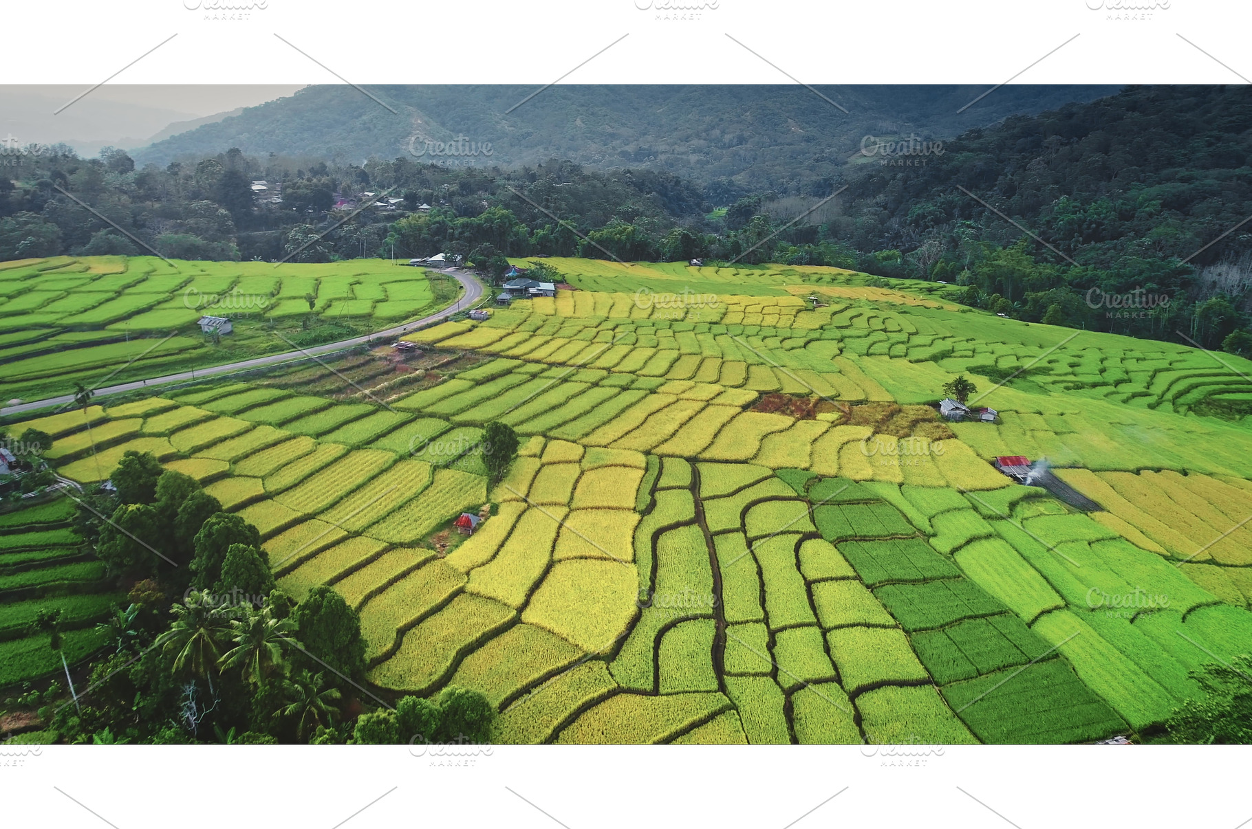 Stunning rice terraces creating, a Nature Photo by Goinyk