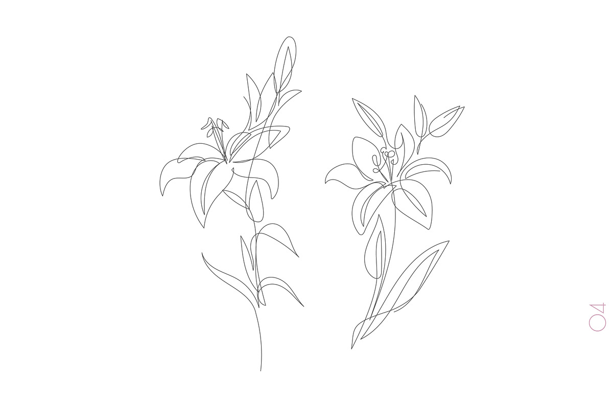 One Line Rose Flower Illustrations, a Decorative Illustration by Alina Kruss (Photo 8 of 9)
